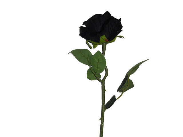 Rosa velvet nera 6010