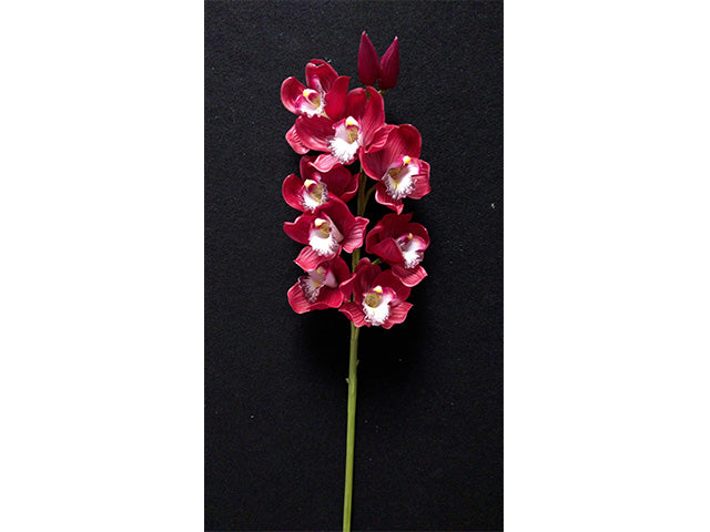 Orchidea fucsia 1152