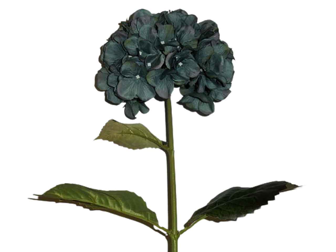 Ortensia blu 4940