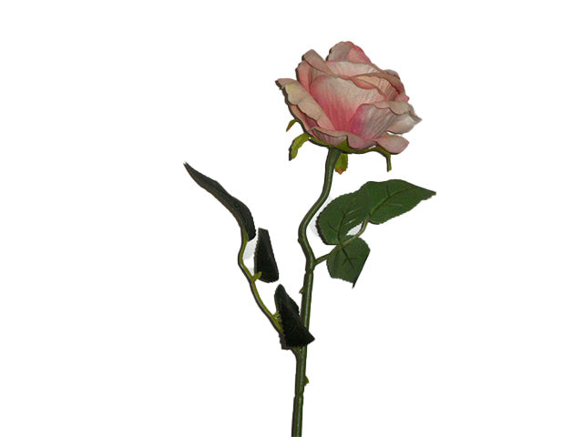 Rosa velvet mauve 6010