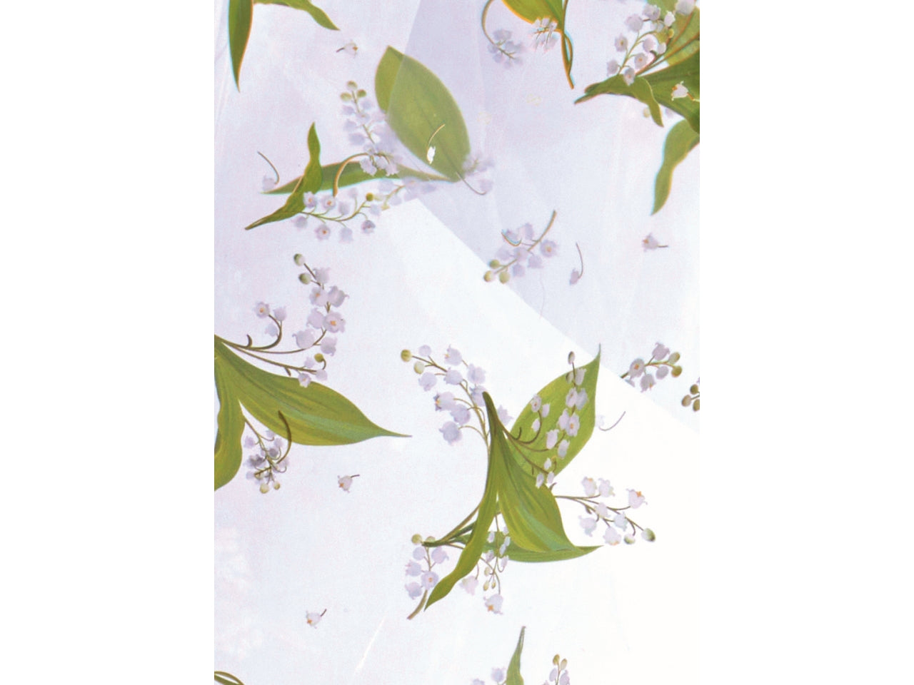 Fogli di Carta Regalo Trasparente con Decoro Mughetto 100x130cm in Polipropilene da Piennepi - Eleganza Floreale, Made in Italy