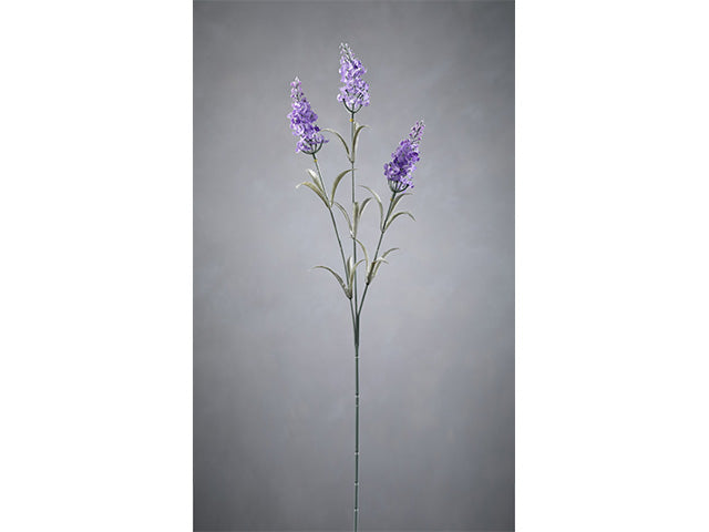 Lavanda 8061x