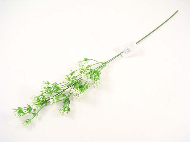 Nebbiolina 8507