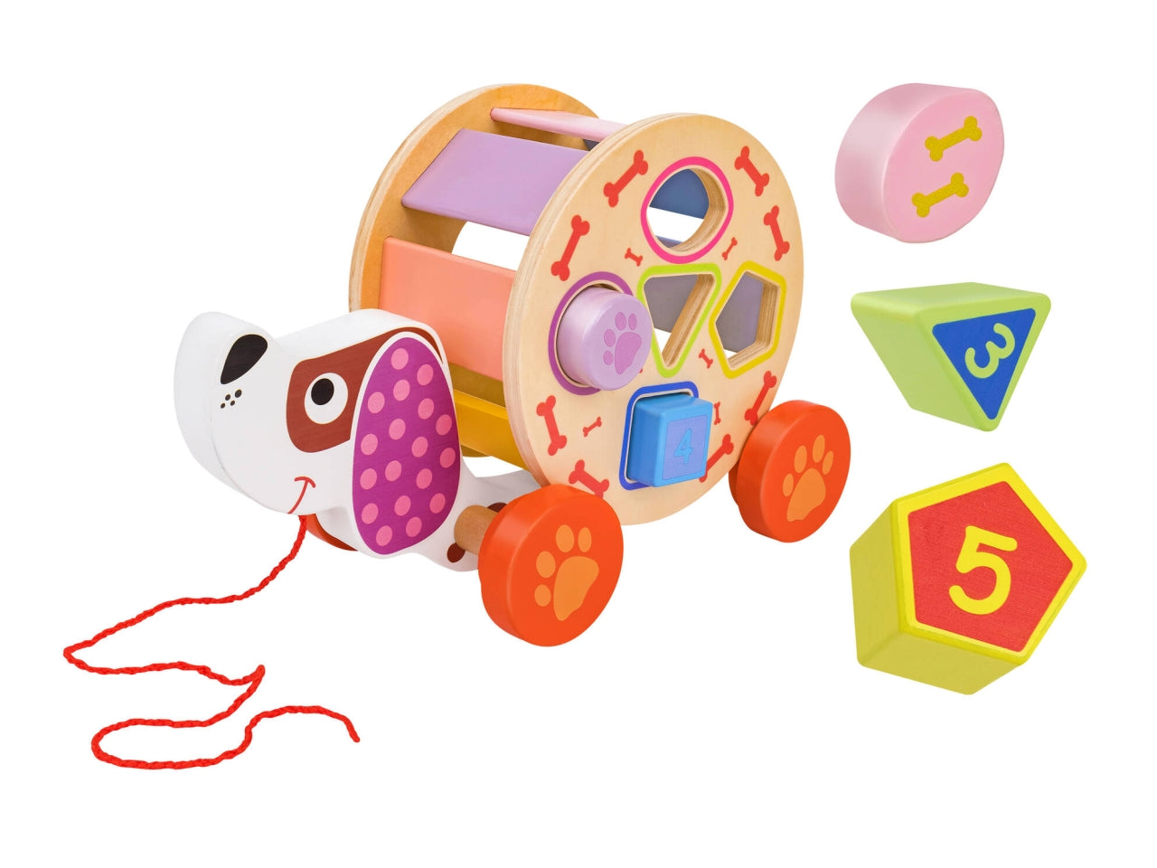 Sirwood cane trainabile con 5 blocchi