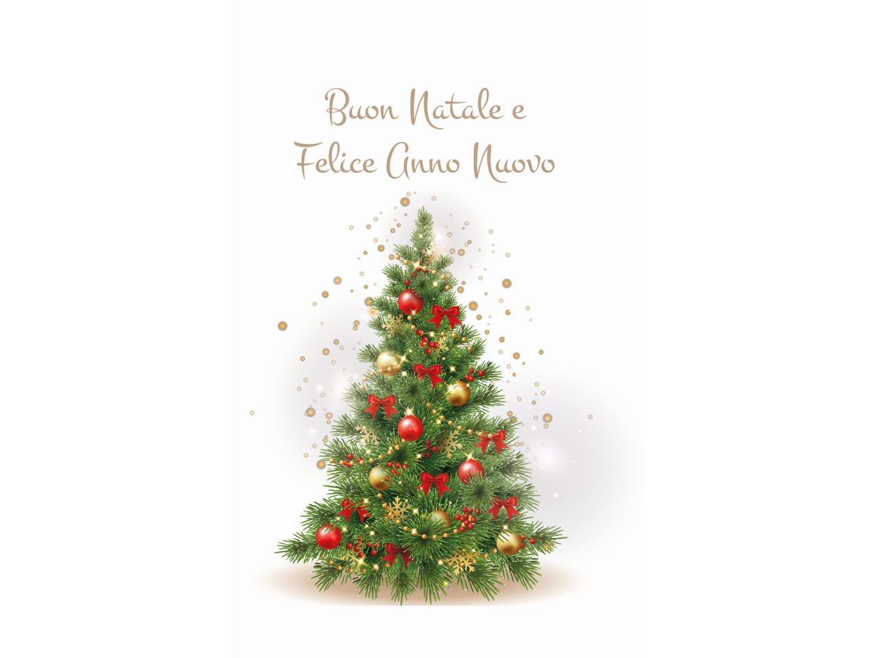 Biglietti buon natale 9x14cm - la confezione contiene 6 bigliettini