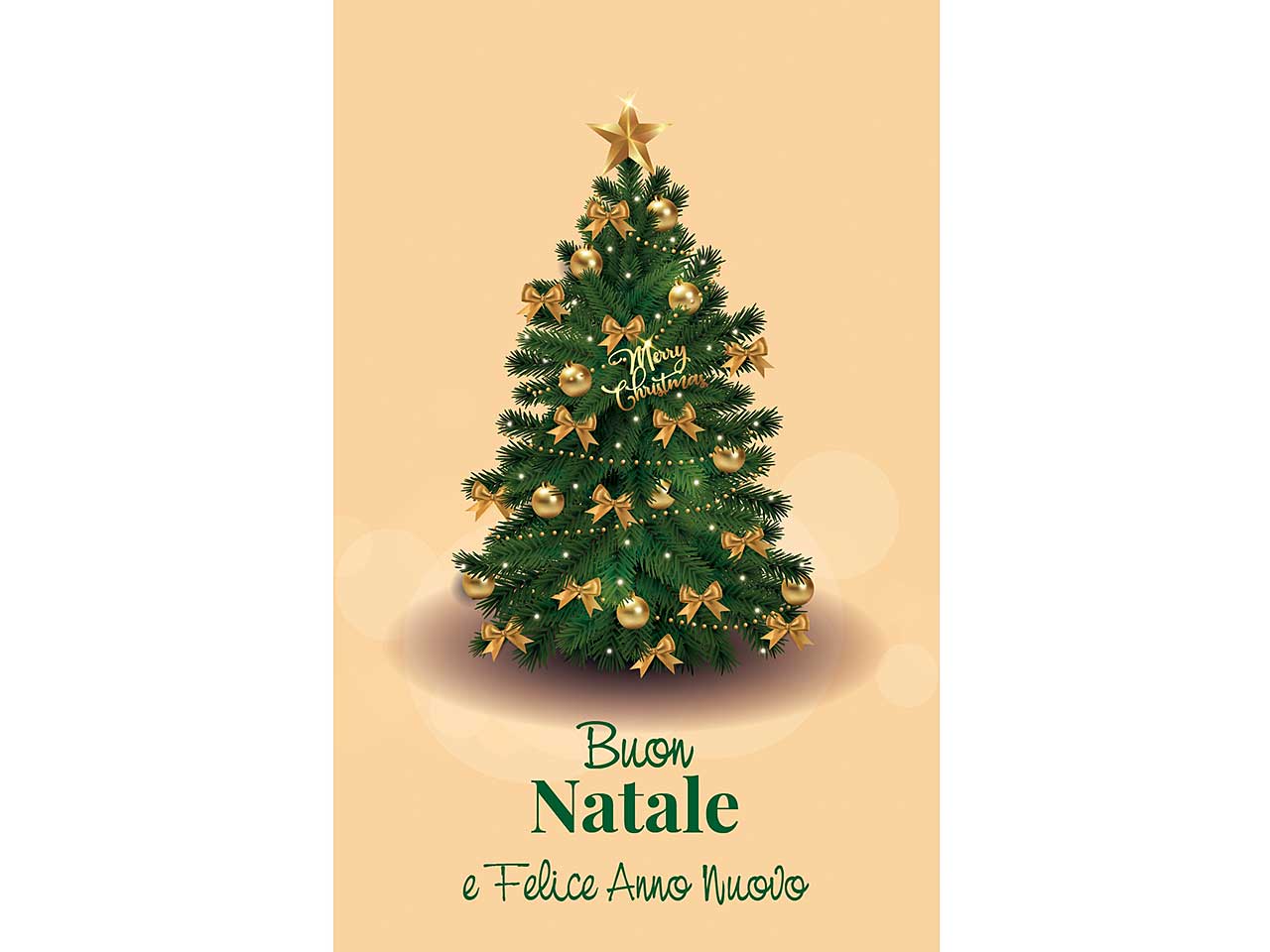 Biglietti buon natale 9x14cm 6 pezzi