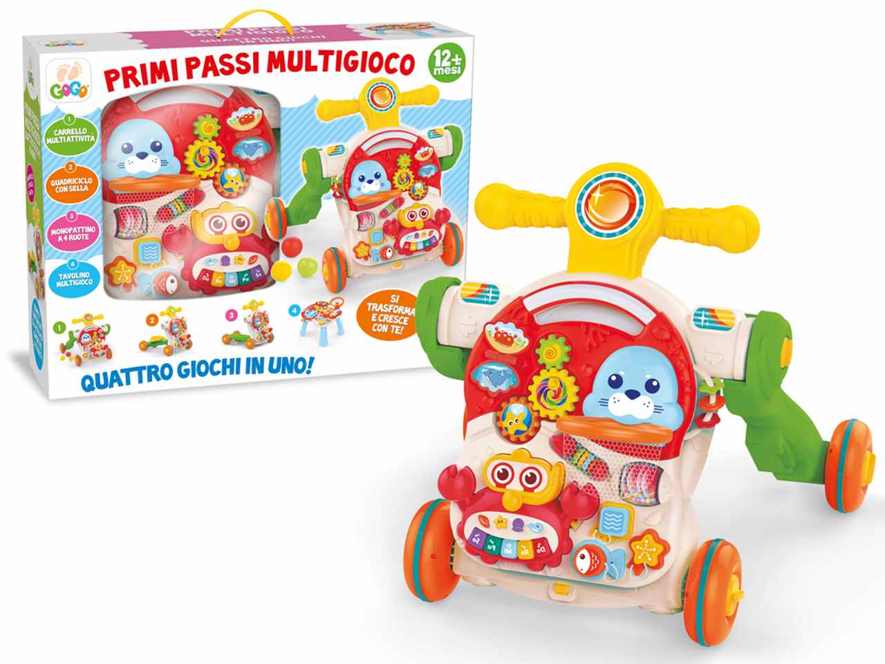 Gogo primi passi 4 in 1 67318