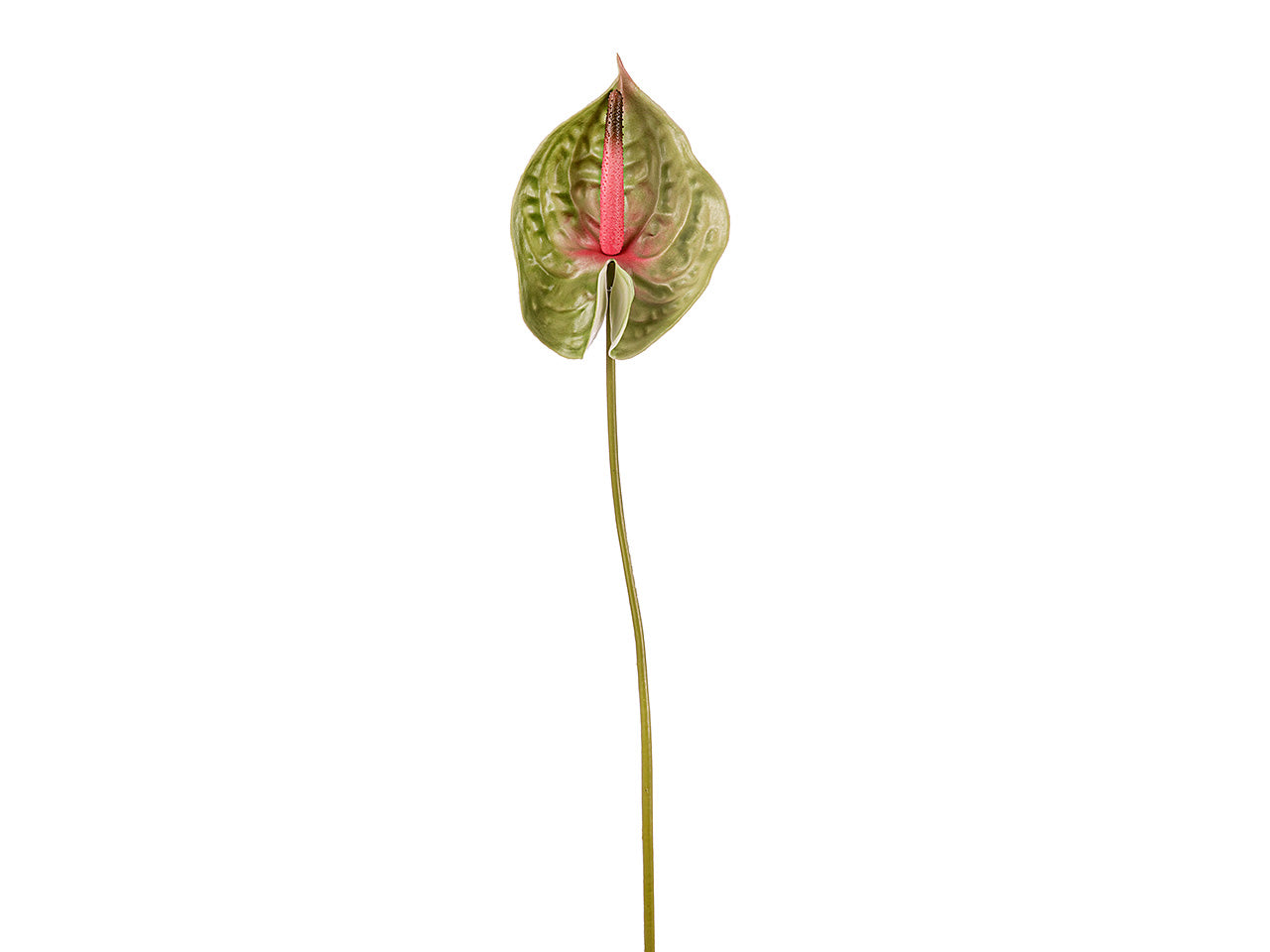 Fiore di anthurium colore verde h.70cm