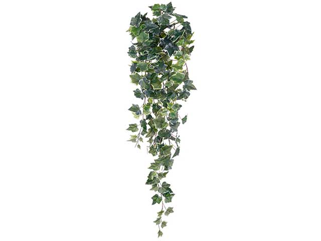 Edera 244 foglie 96cm a01545