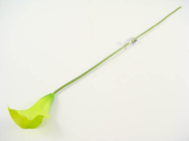 Calla piccola verde a11100