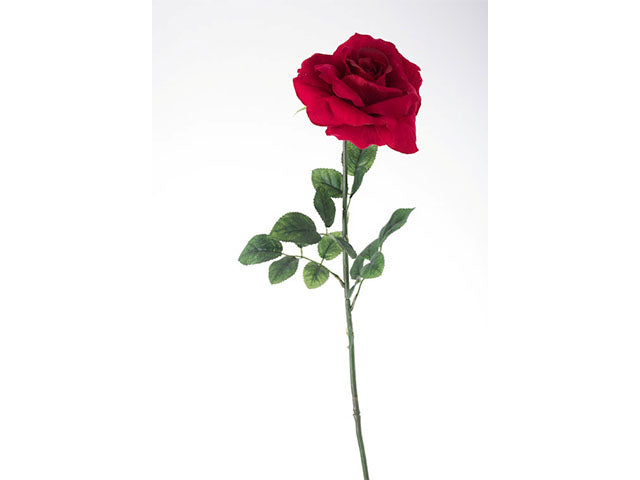Rosa singola rossa n17123