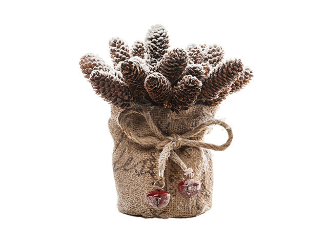 Pigne 20cm in sacchetto n18745