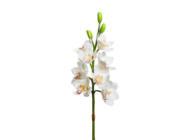 Orchidea bianca 77cm a20579