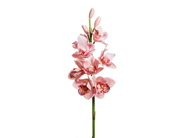 Orchidea rosa 77cm a20579