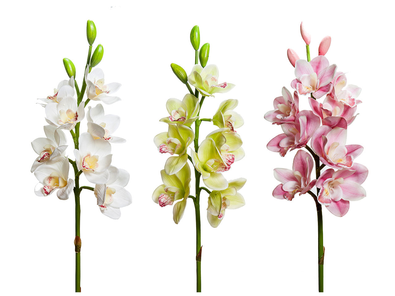 Orchidea 77cm a20579