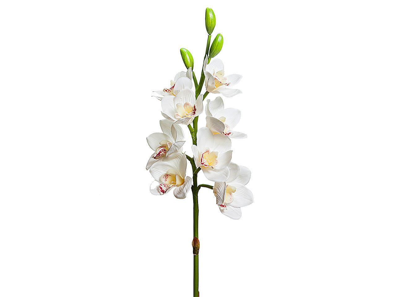 Orchidea 77cm a20579