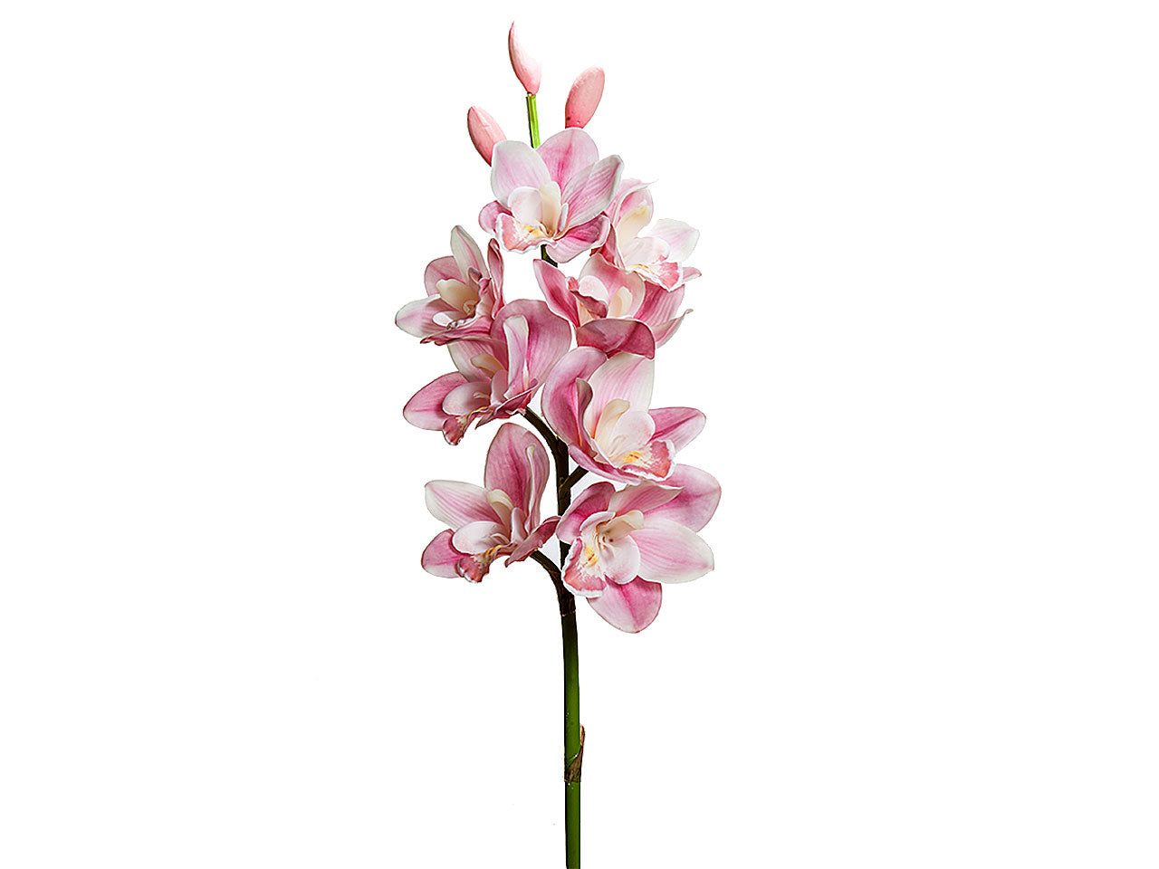 Orchidea 77cm a20579