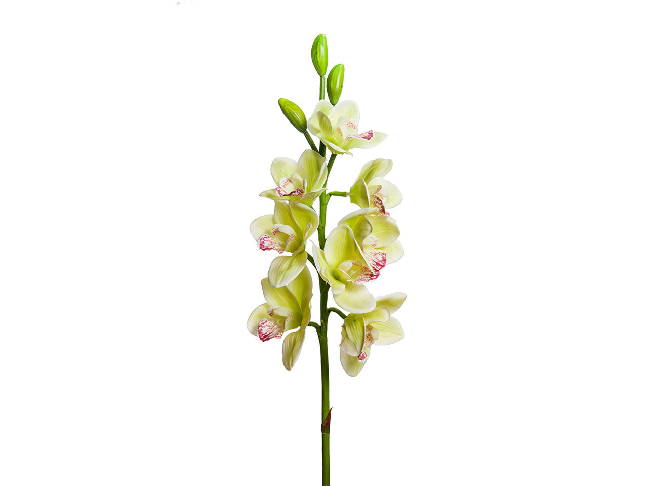 Orchidea 77cm a20579