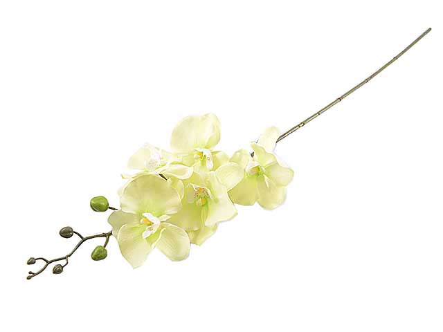 Phalenopsis 78cm verdea18360