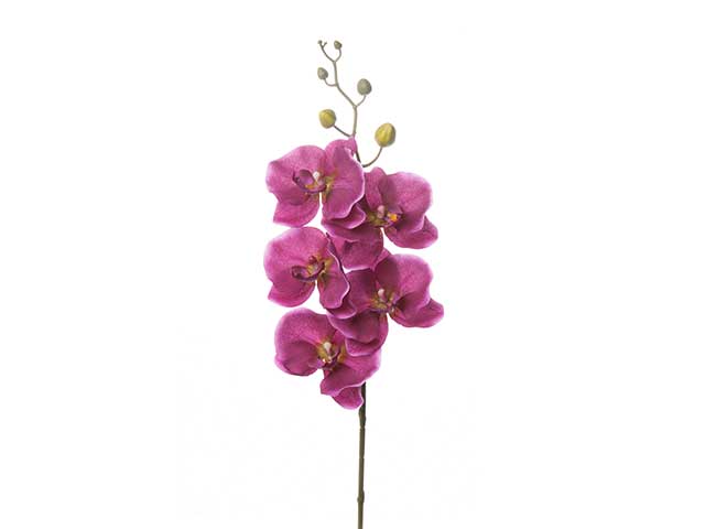 Phalenopsis 78cm viola a18360