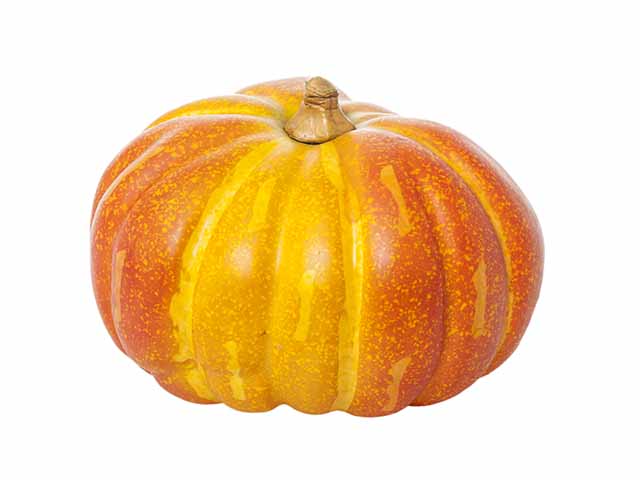 Zucca 20cm a21252