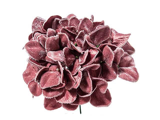 Pick ortensia velluto mauve n21167
