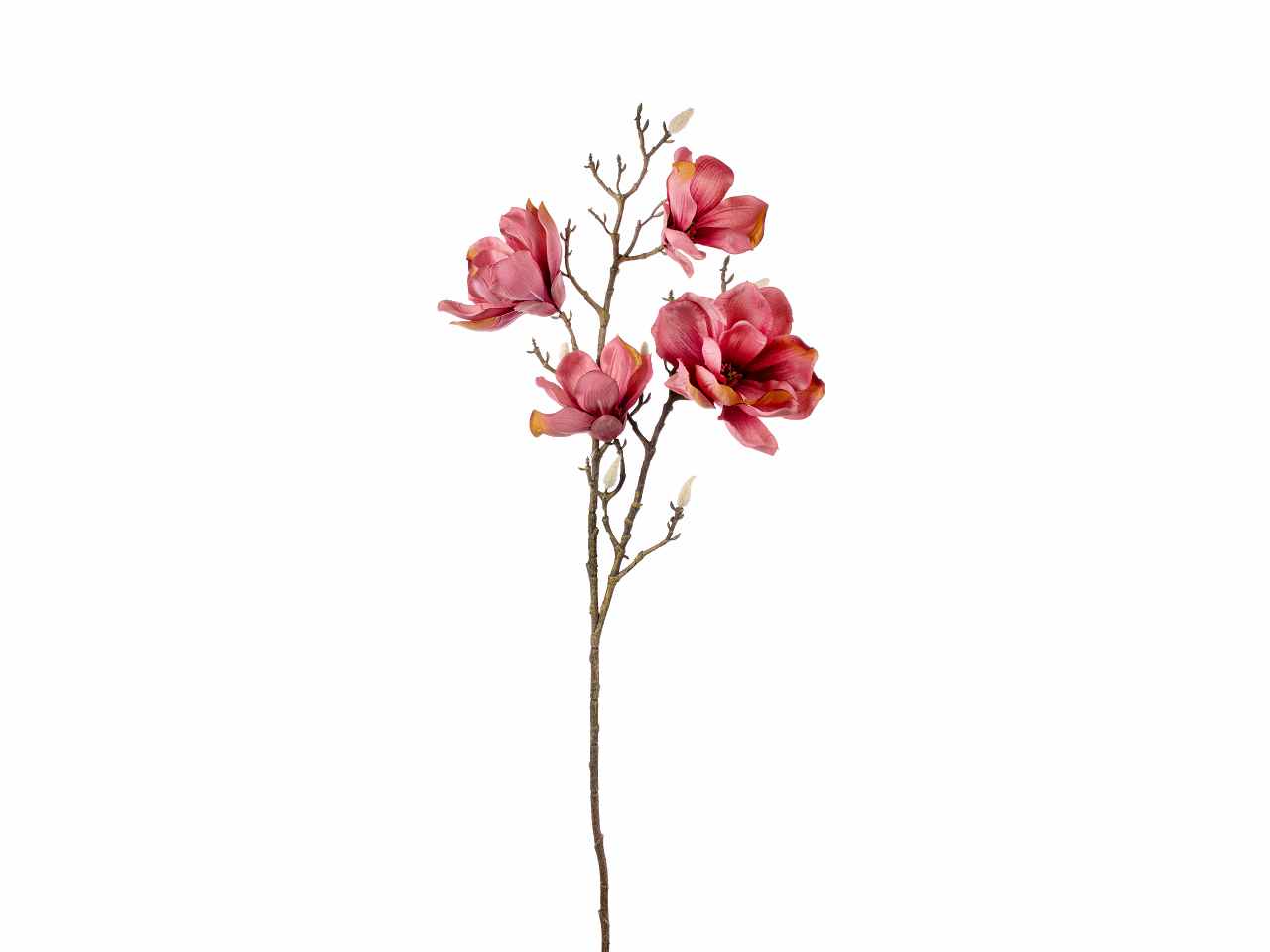 Tralcio magnolia 86cm beauty a18822