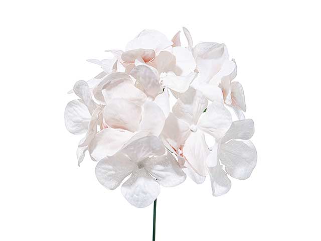 Pick ortensia 12 pezzih.19xd.12cm beige a15640