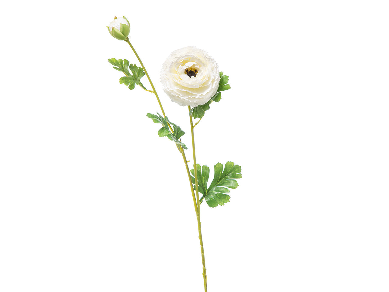 Fiore di ranuncolo x 2 colore crema h.74cm