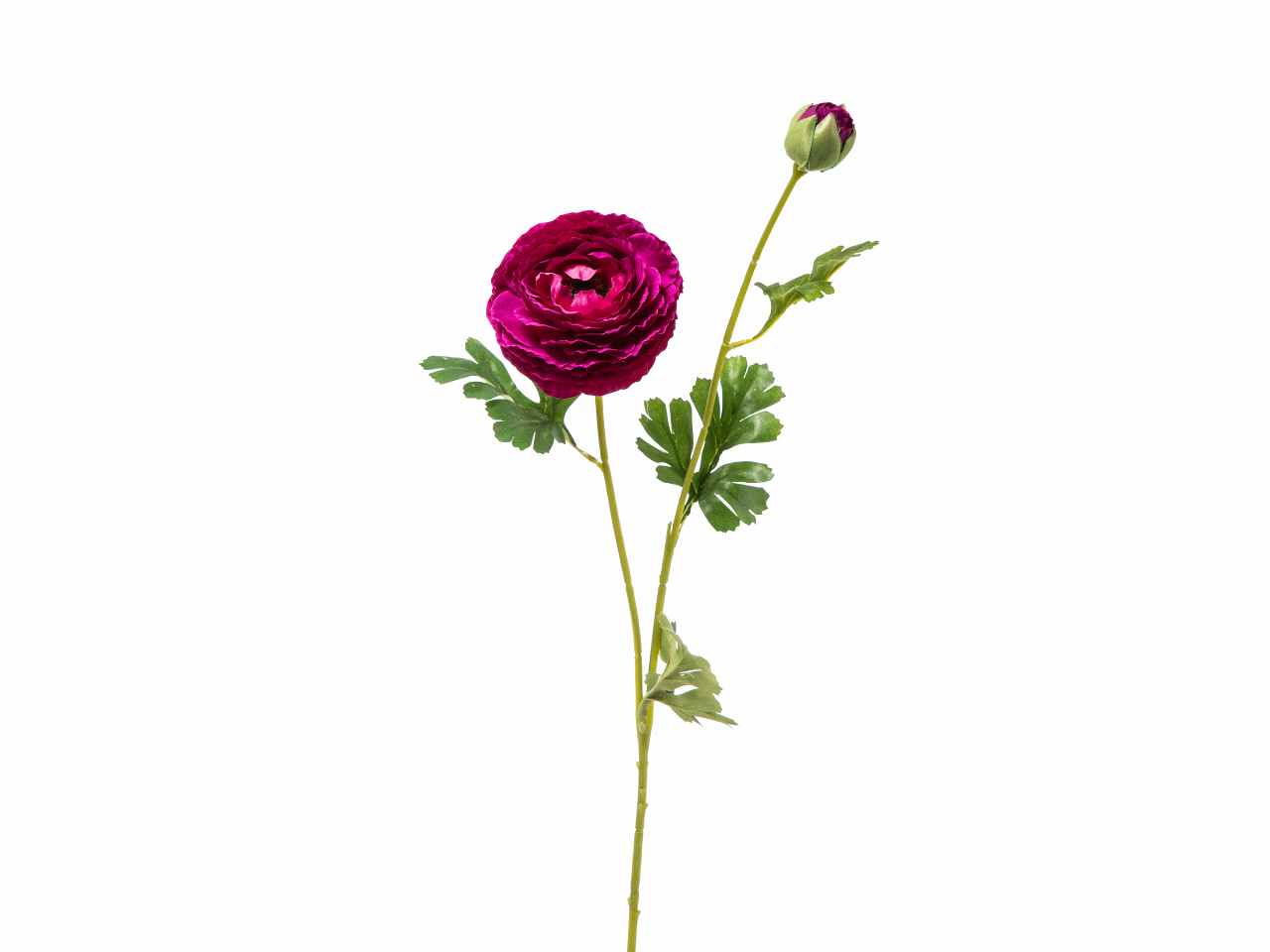 Ranuncolo x2 h74cm viola a22000