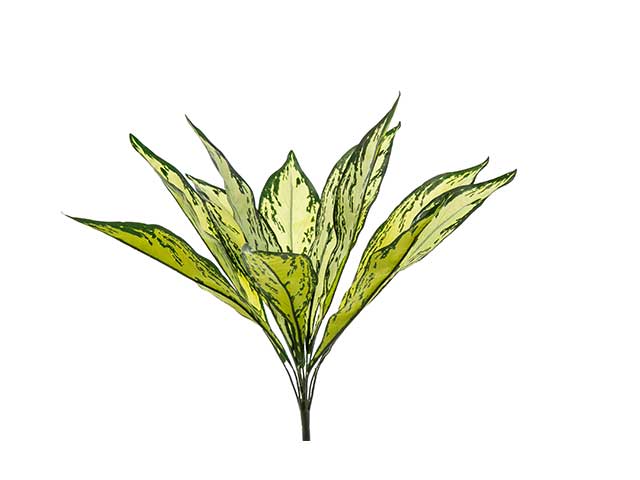 Dracena 45cm a22120