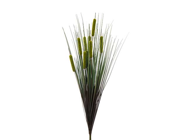 Ciuffo typha latifolia verde a22651