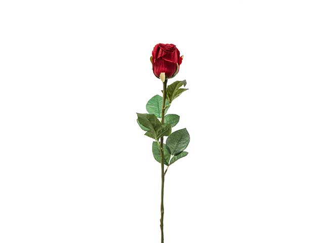 Bocciolo 60cm rosso a22222