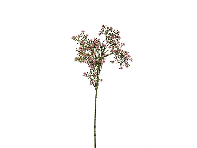 Nebbiolina tralcio 55cm rosa a22021