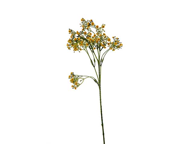Nebbiolina tralcio 55cm giallo a22021
