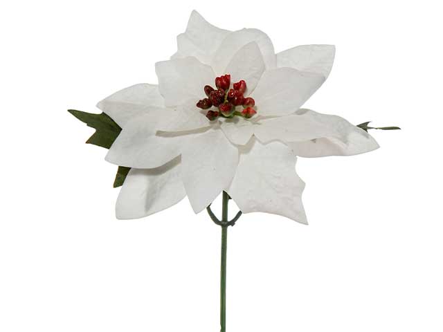 Pick stella di natale bianco n22769