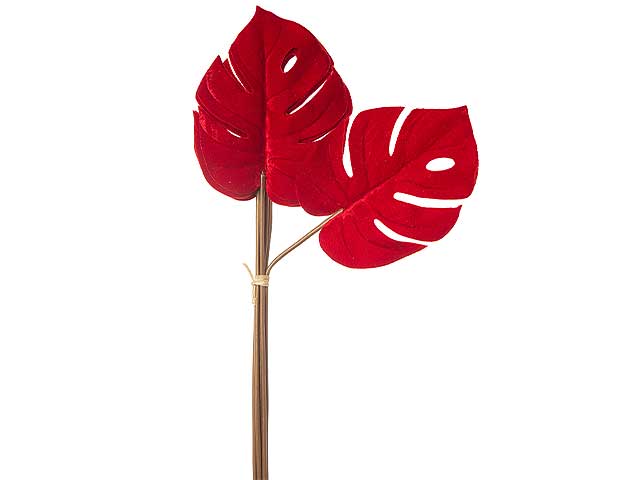 Mazzo filodendro 6foglie rosso n22802 $