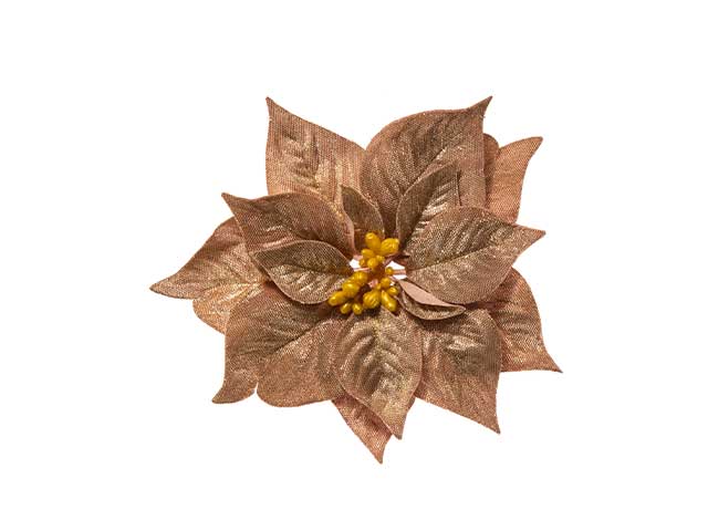 Pick stella di natale glam.mauve n22944