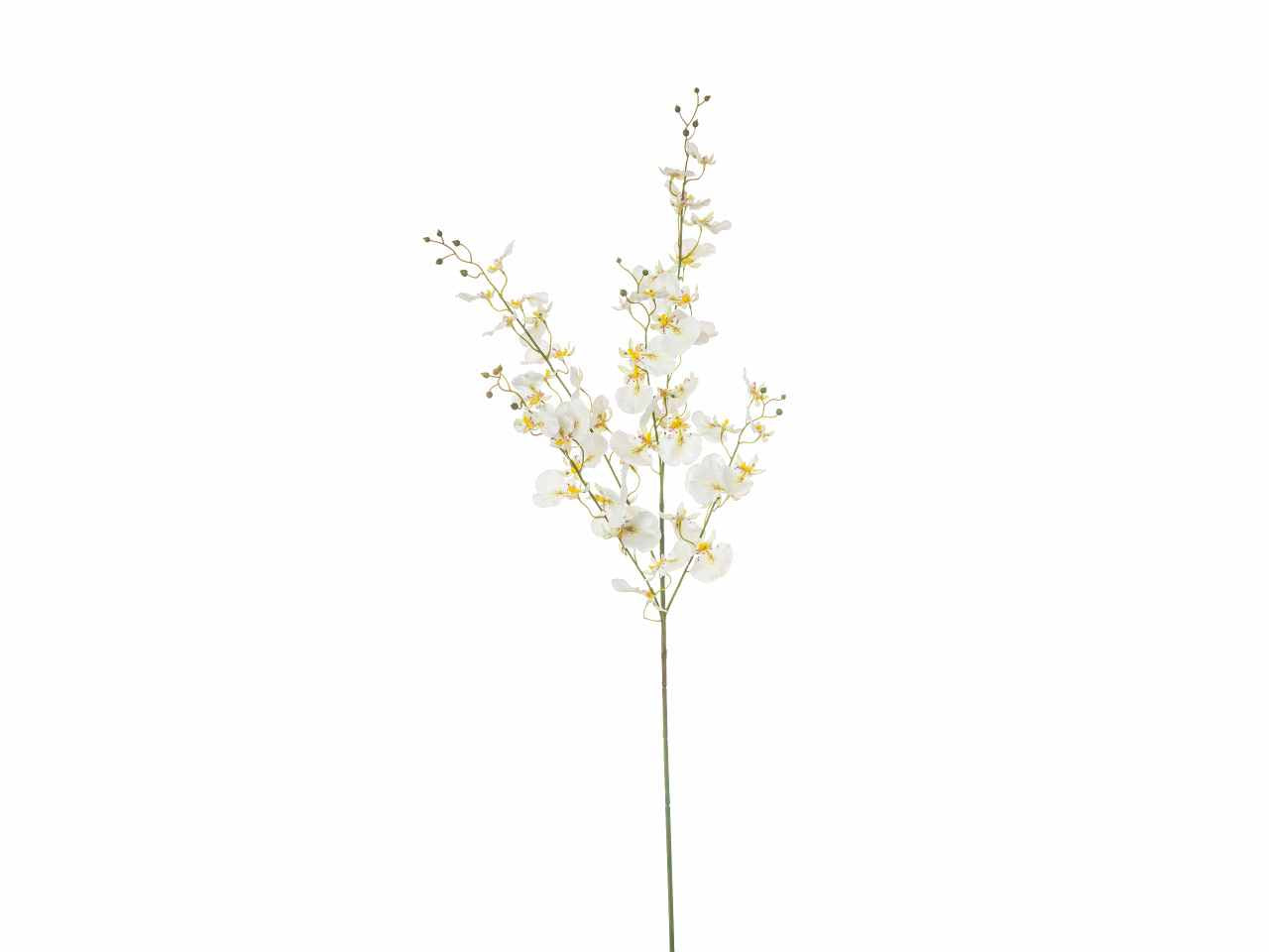 Fiore di oncidium colore bianco h.102cm