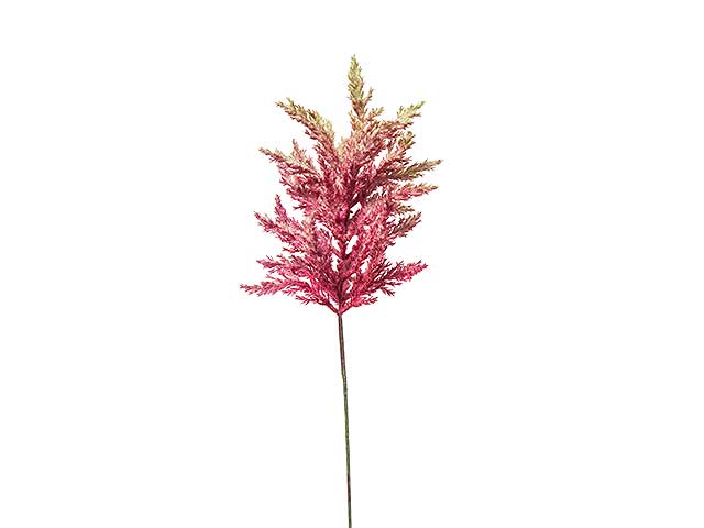 Astilbe 65cm mauve a22749