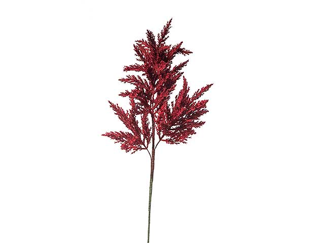 Astilbe grande 70cm burgundy a22751