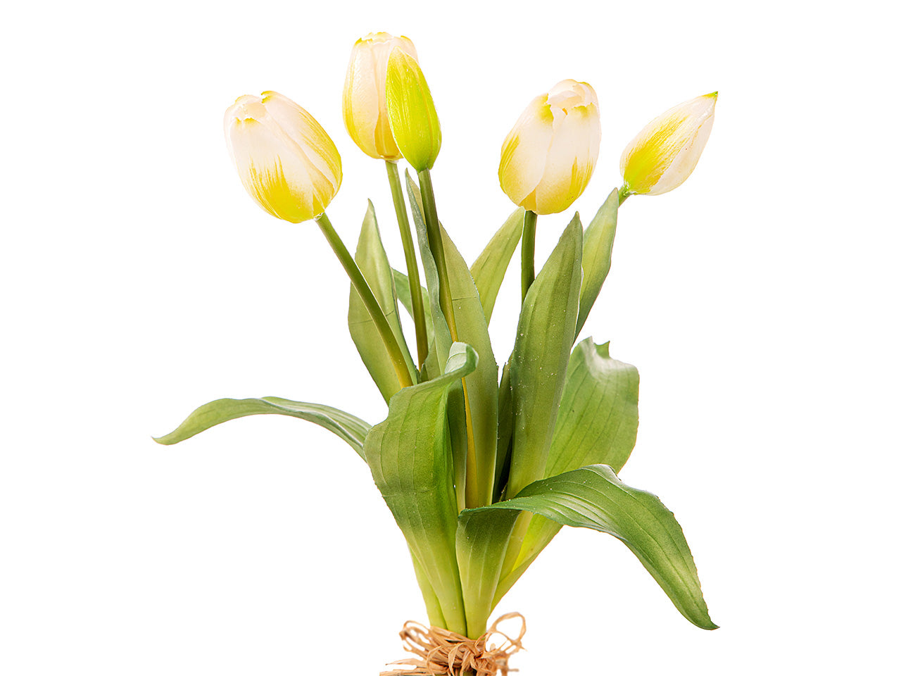 Tulipano bianco artificiale 35 cm, fascio da 5 tulipani - Arpimex