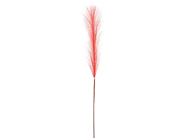 Pampas media h.63cm red a24225