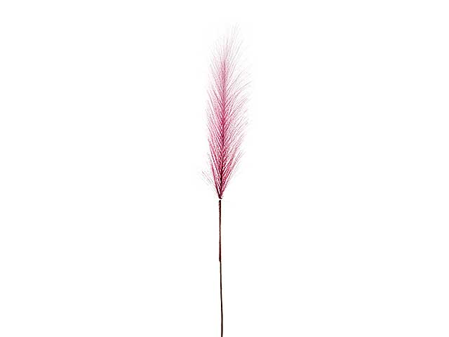 Pampas media h.63cm purple a24225