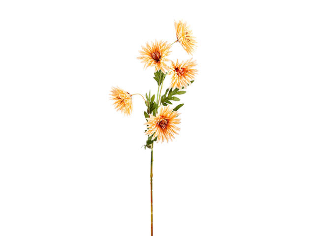 Gerbera x5 75cm gialla a24305