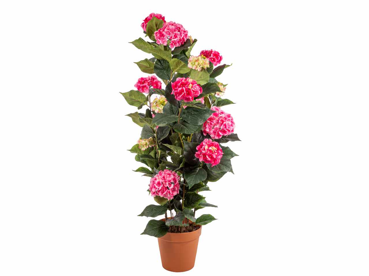 Pianta ortensia 150cm rosa a25012