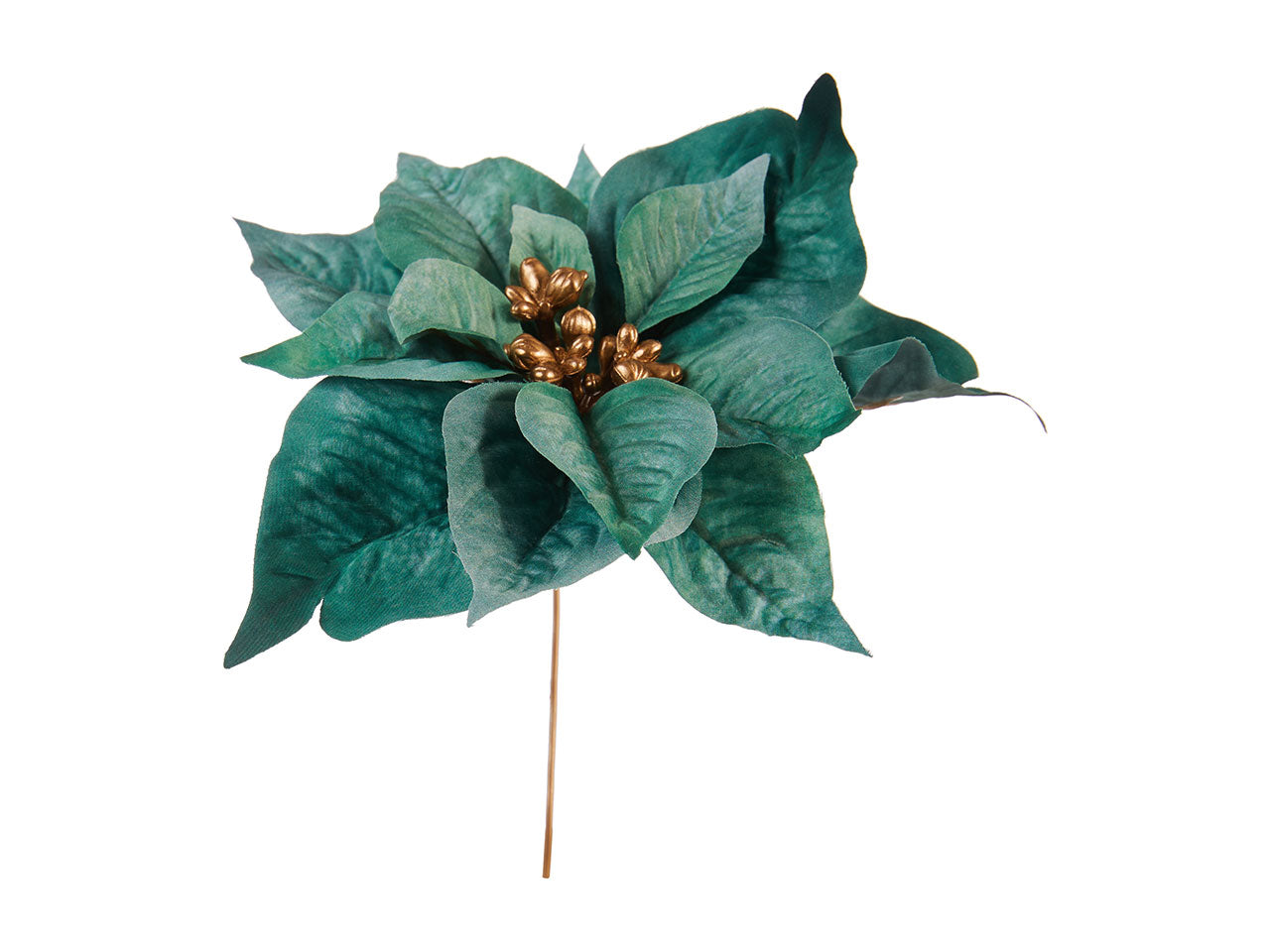 Pick stella di natale misura d21xh18cm colore verde salvia