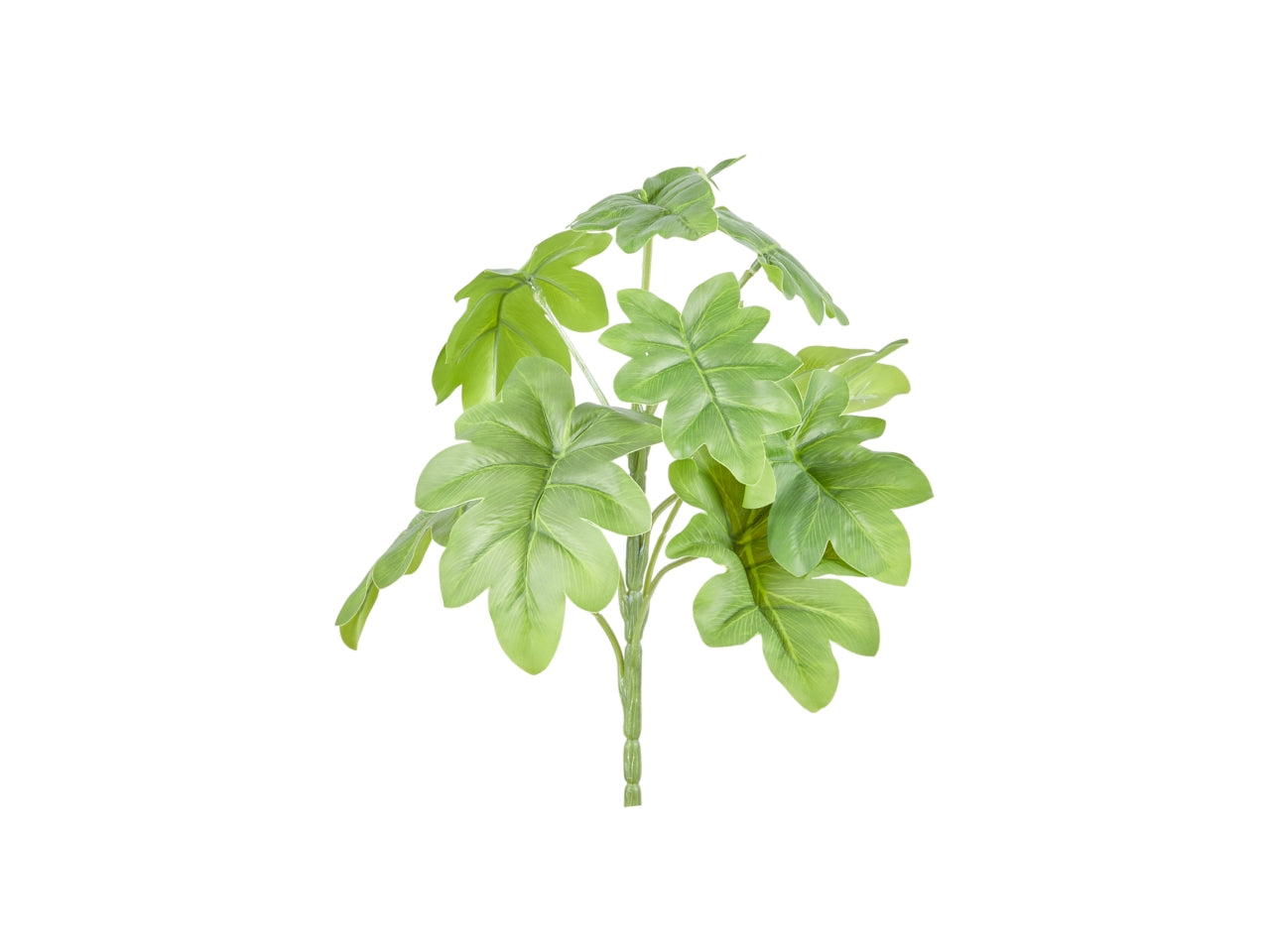 Ciuffo di monstera x 9 misura 28cm