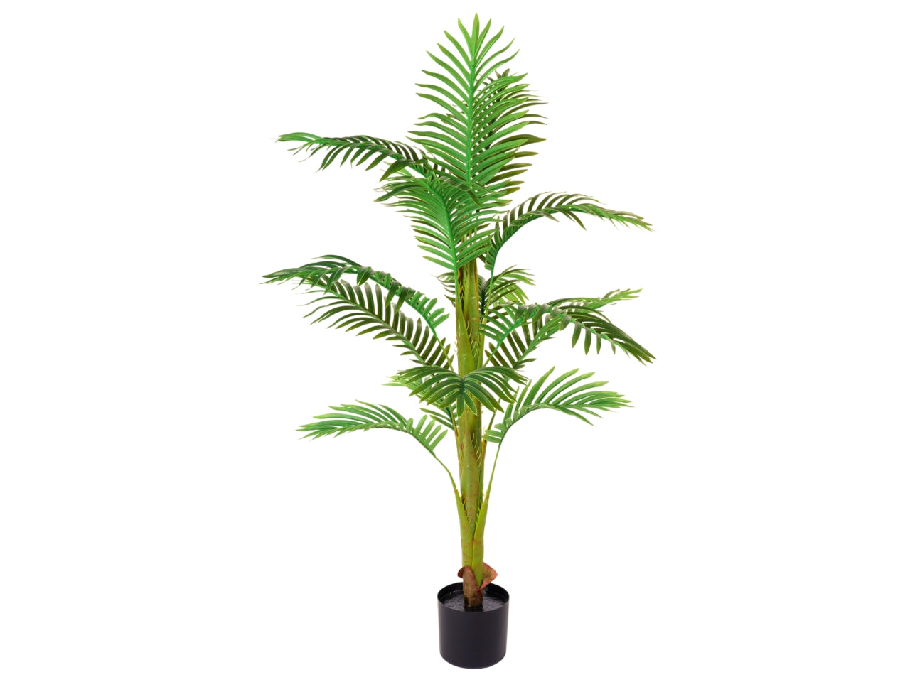 Pianta di palma misura 125cm