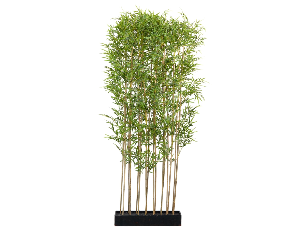 Separe' in bamboo misura 240cm